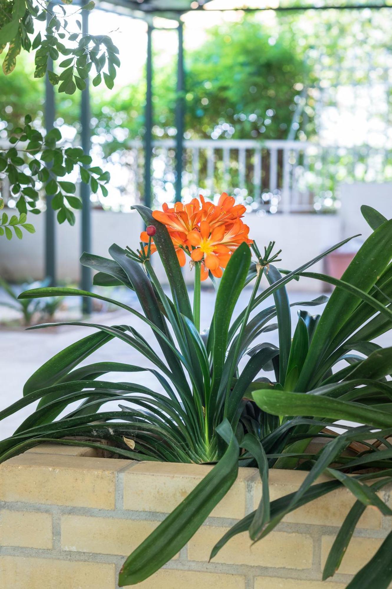 Glyfada'S Cosy Apartments Athens Luaran gambar